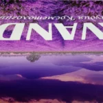 Екосольвентний друк на вінілових шпалерах