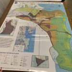 Екосольвентний друк на плівці Oracal