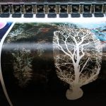 УФ-друк на текстилі для світлової реклами