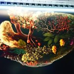 УФ-друк на папері city light