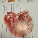 УФ фотодрук повнокольоровий з білим кольором на ПВХ