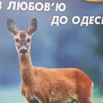 Сольвентний друк на банері Blockout