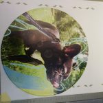 УФ полноцветная фотопечать на вашем материале